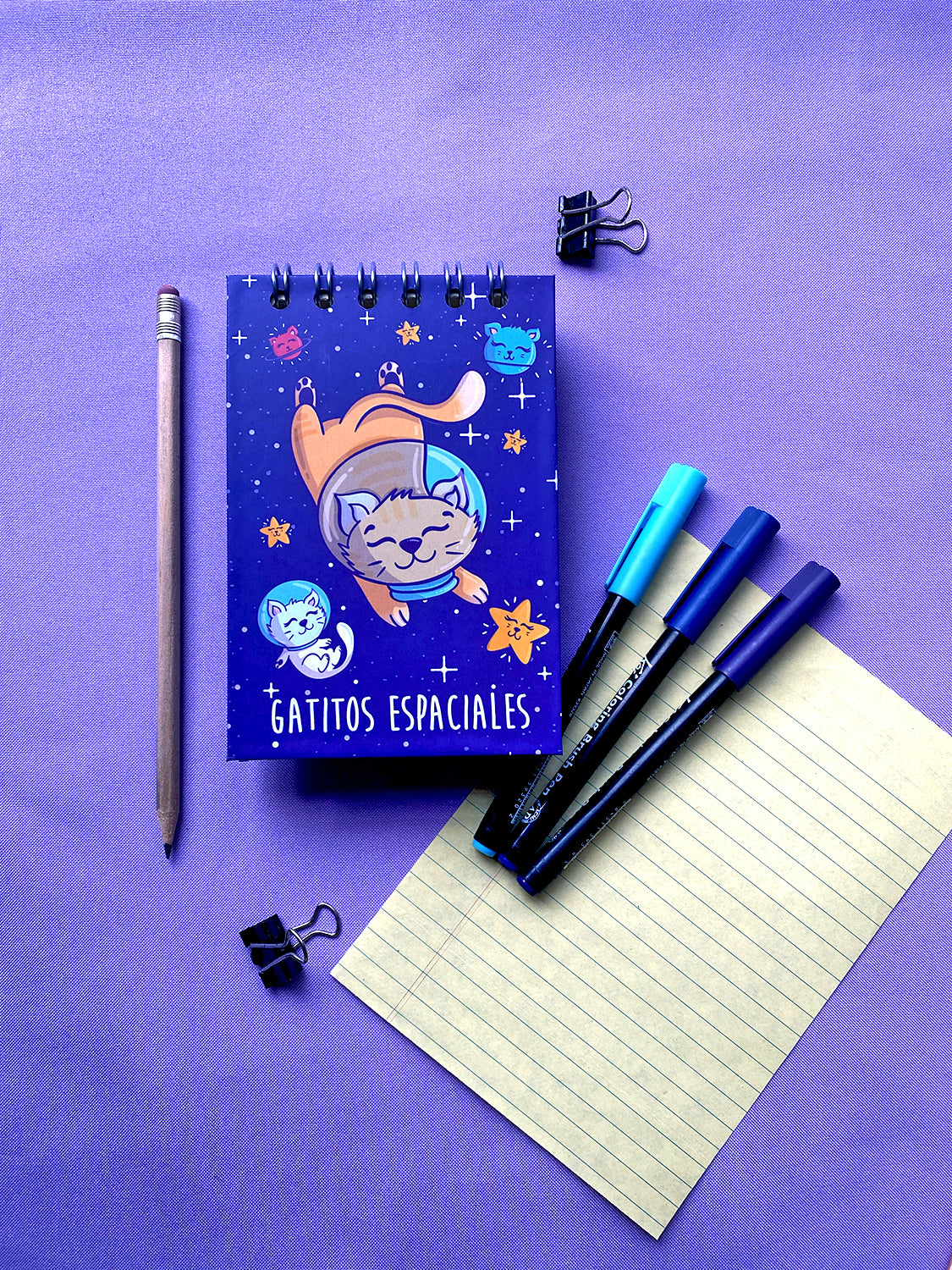 Libretita “GATITOS ESPACIALES”
